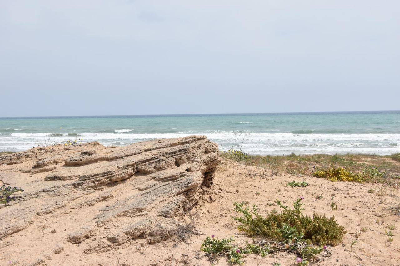 Apartment Vinamar III - Sunny La Mata 拉马他 外观 照片