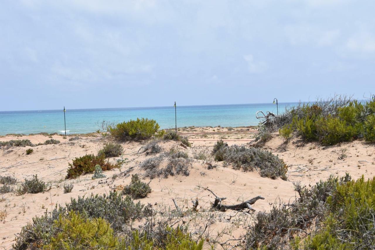 Apartment Vinamar III - Sunny La Mata 拉马他 外观 照片