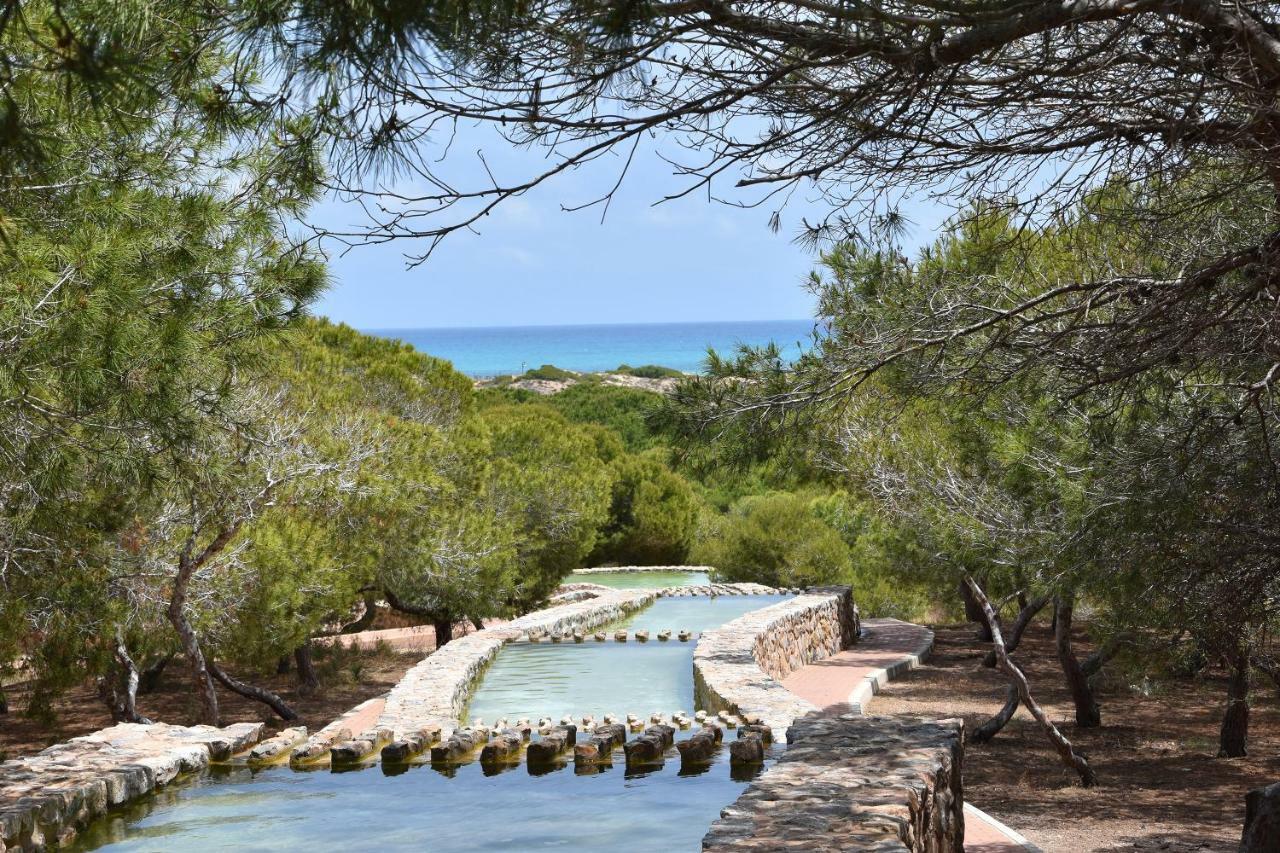 Apartment Vinamar III - Sunny La Mata 拉马他 外观 照片